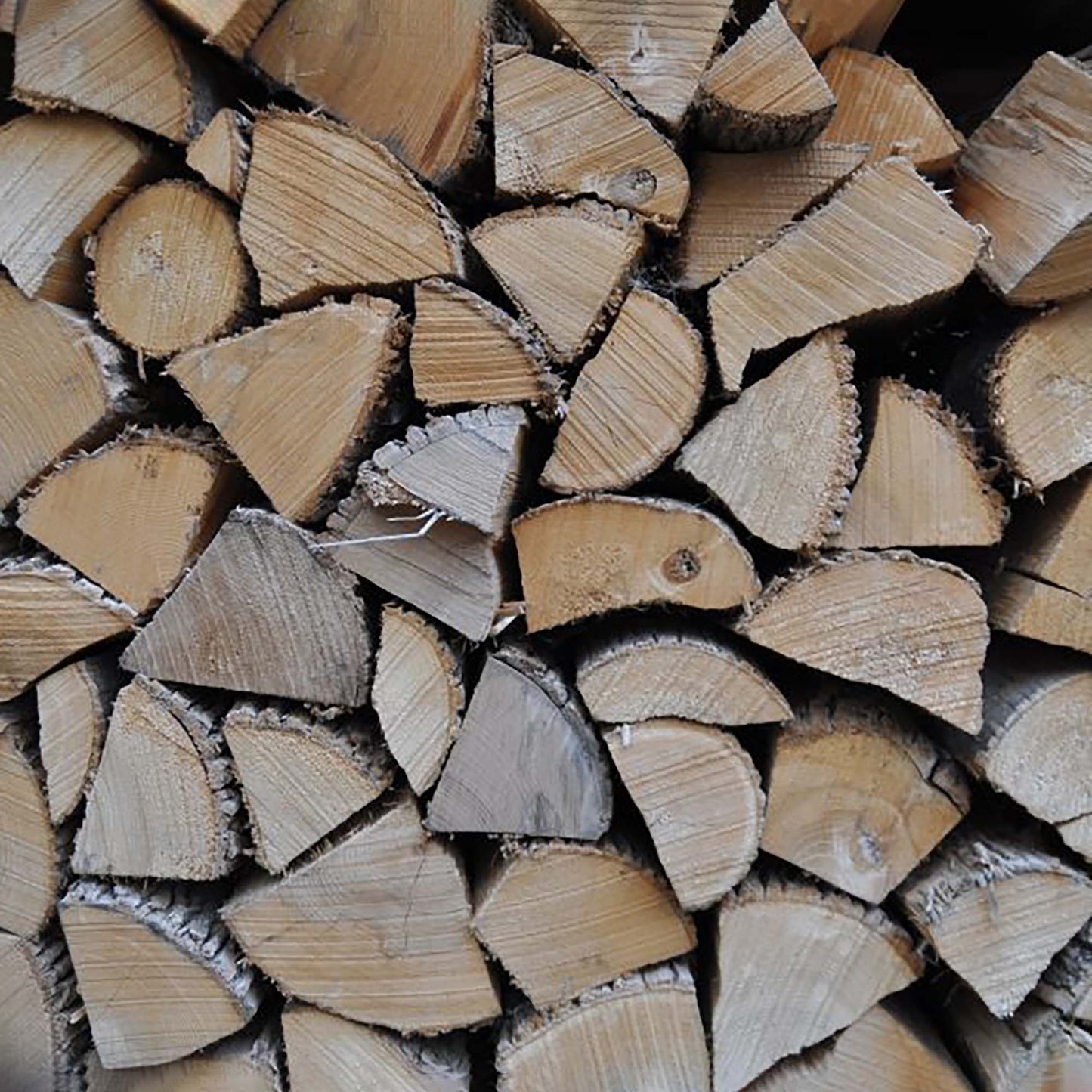 Birch Kiln Dried Logs Bulk Order