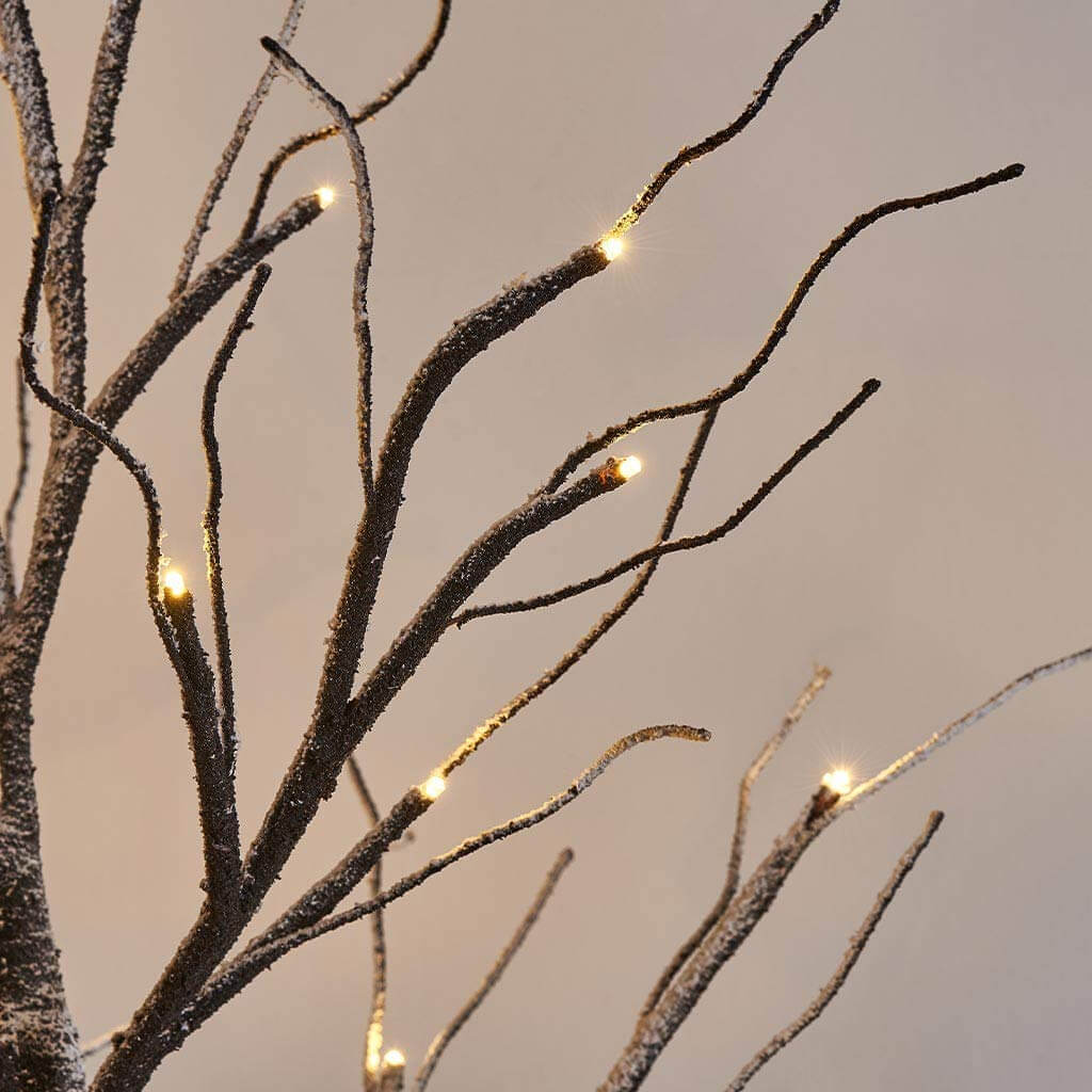 2ft Pre Lit Twig Tree White Birch with 24 LED battery Lights